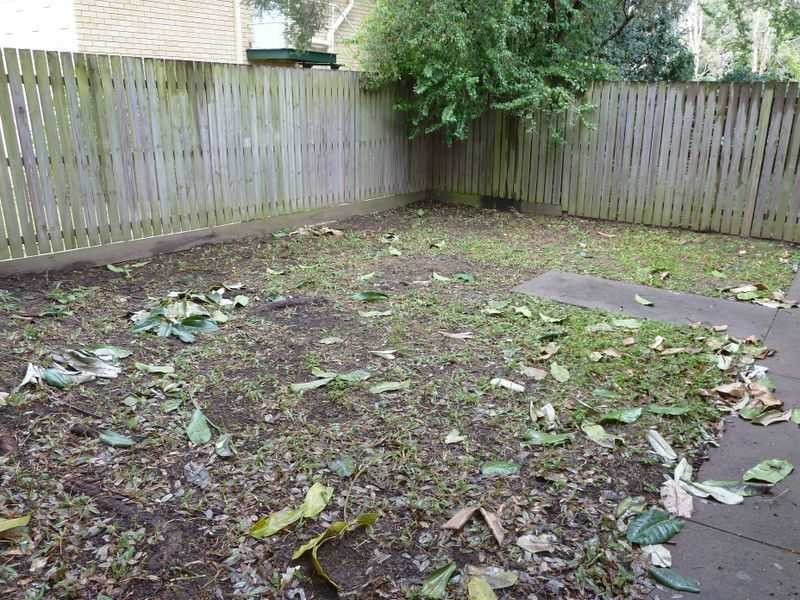 4/2 Glen Parade, Ashgrove QLD 4060