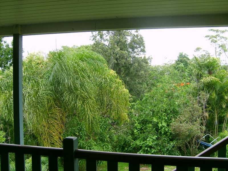 17 Cavell Terrace, Ashgrove QLD 4060
