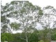 Bardon QLD 4065