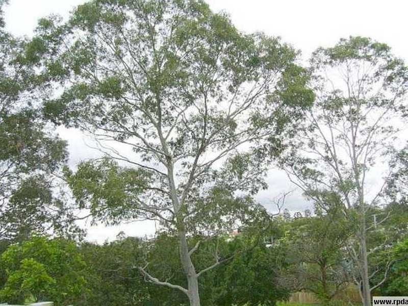 Bardon QLD 4065