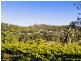 7 Phoenix Close, The Gap QLD 4061