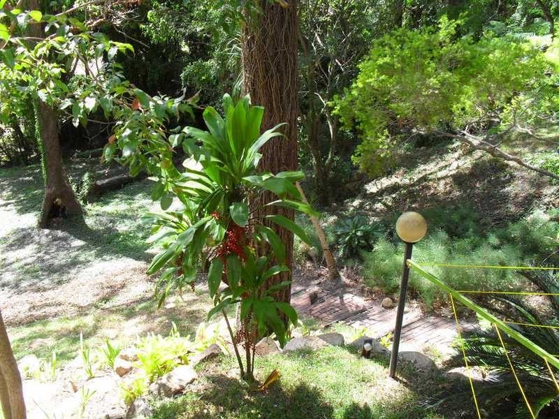 56 Bennett Road, The Gap QLD 4061