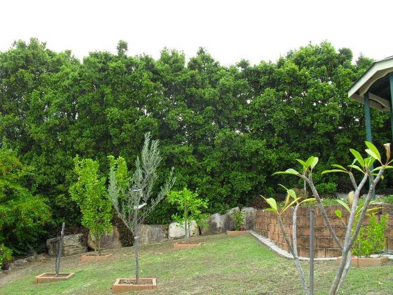 7 Myrtle Place, Albany Creek QLD 4035