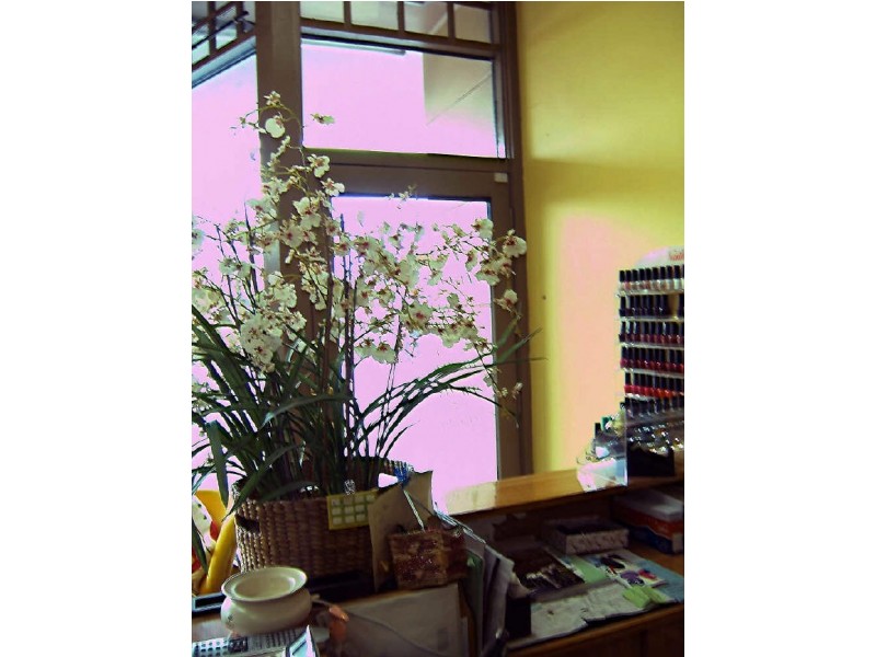 East Melbourne VIC 3002