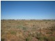 Lot 376 Abattoirs Road, Warnertown SA 5540