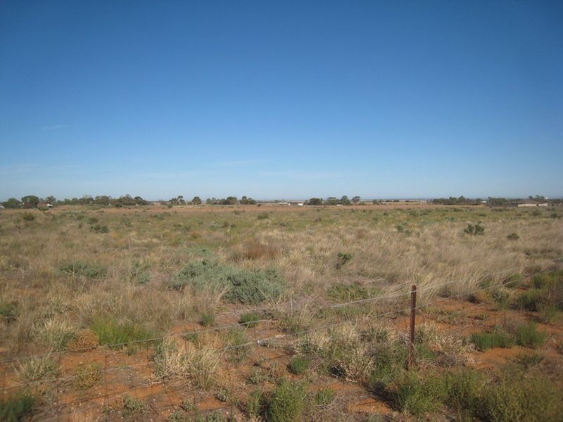 Lot 376 Abattoirs Road, Warnertown SA 5540