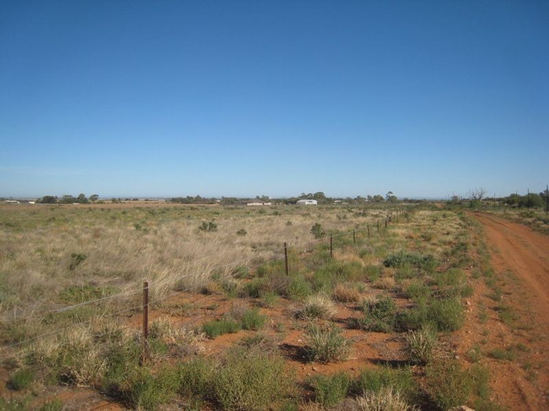 Lot 376 Abattoirs Road, Warnertown SA 5540