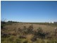 Lot 376 Abattoirs Road, Warnertown SA 5540