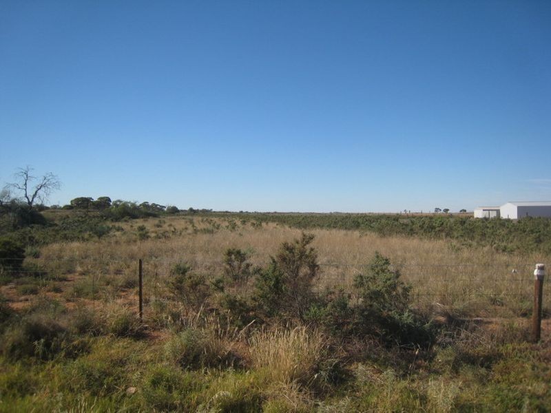 Lot 376 Abattoirs Road, Warnertown SA 5540