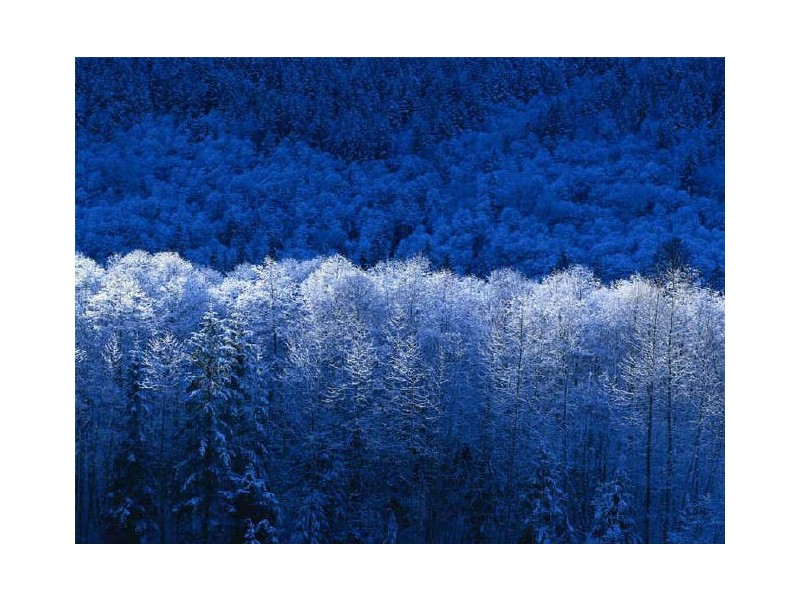 7 Giles Street, Crystal Brook SA 5523