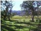 Lot 534 Jenkins Road, Telowie SA 5540