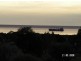 1215 Scenic Drive, Nelshaby SA 5540