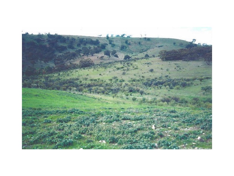 Sect 263 Bangor Road, Wirrabara SA 5481