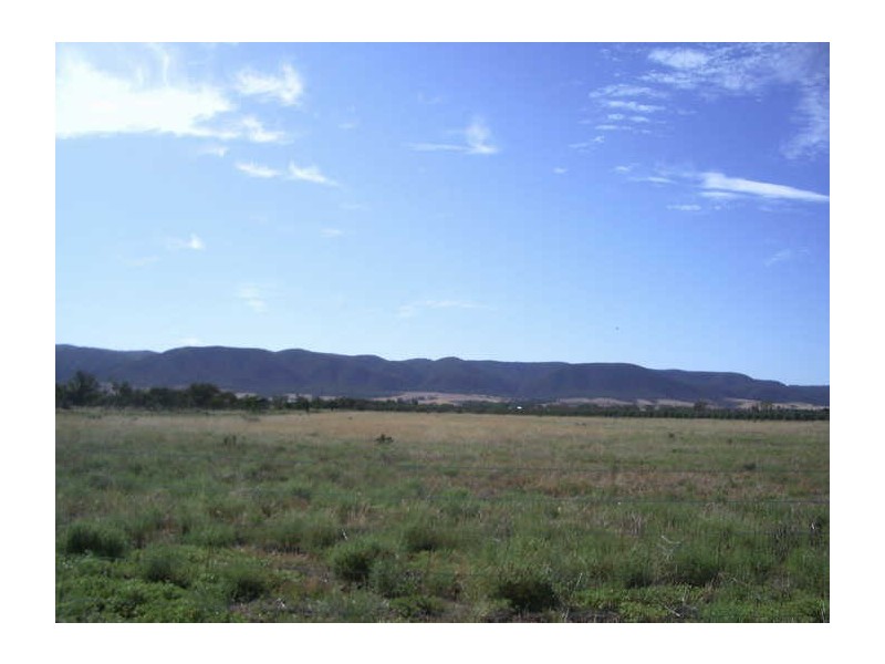 239/ Muster Drive, Napperby SA 5540