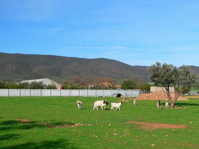 Section 98 Scenic Drive, Napperby SA 5540