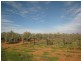 Lot 242 Muster Drive, Napperby SA 5540