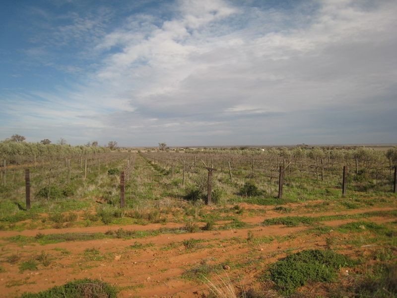 Lot 242 Muster Drive, Napperby SA 5540