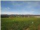Lot 971 Scenic Drive, Napperby SA 5540
