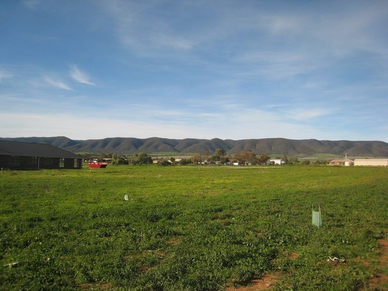 Lot 971 Scenic Drive, Napperby SA 5540