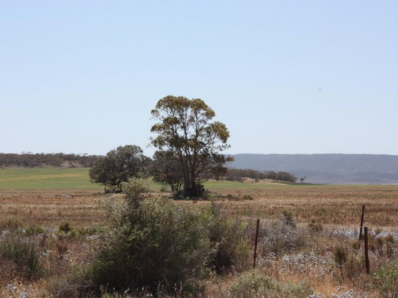 Section 19 5AU Road, Mambray Creek SA 5495