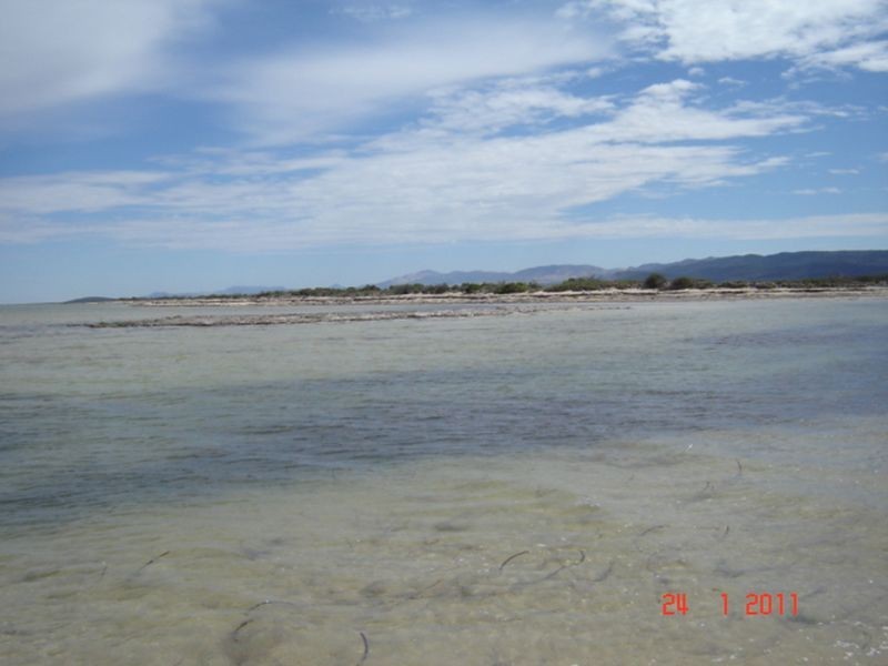 Section 19 5AU Road, Mambray Creek SA 5495