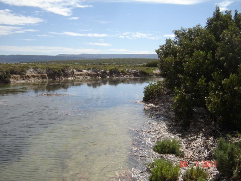 Section 19 5AU Road, Mambray Creek SA 5495