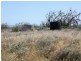 Section 19 5AU Road, Mambray Creek SA 5495