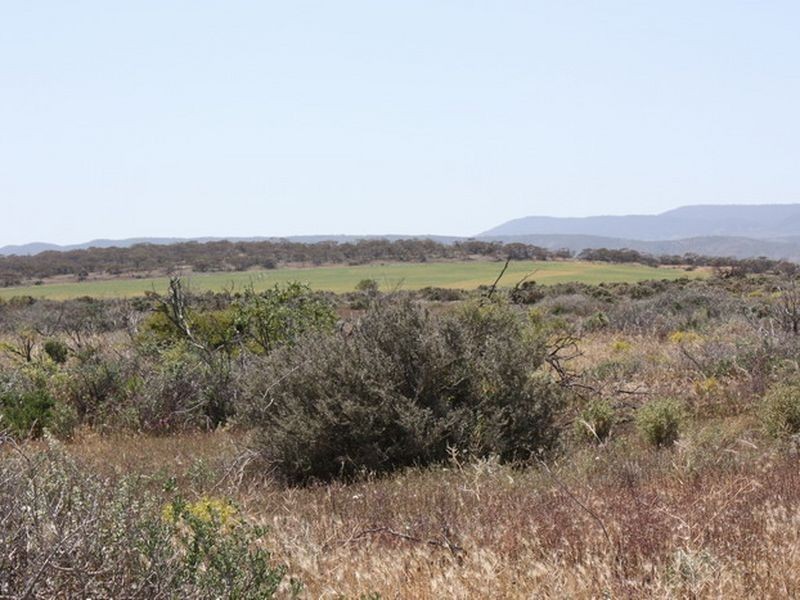 Section 19 5AU Road, Mambray Creek SA 5495