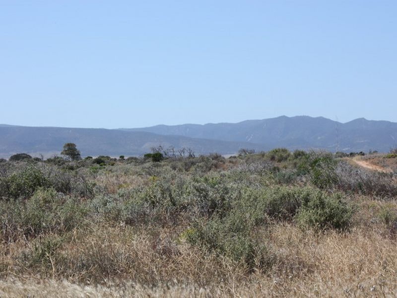Section 19 5AU Road, Mambray Creek SA 5495