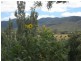 824 Scenic Drive, Napperby SA 5540
