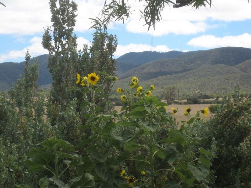 824 Scenic Drive, Napperby SA 5540