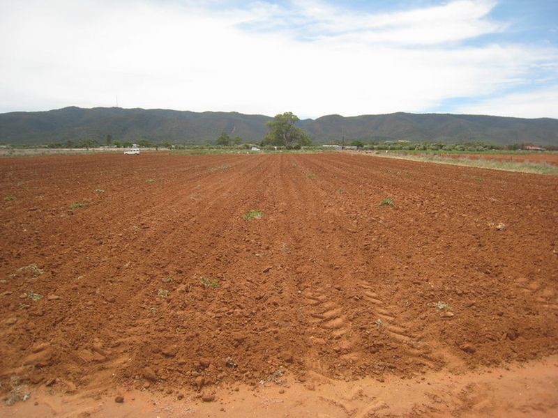 Lot 14 Acropolis Road, Nelshaby SA 5540