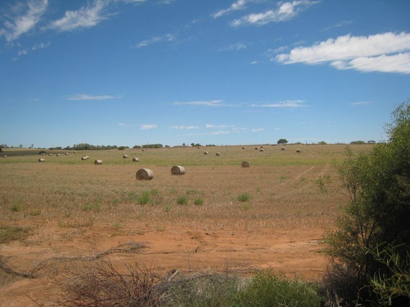 Sect 899 Railway Terrace, Napperby SA 5540
