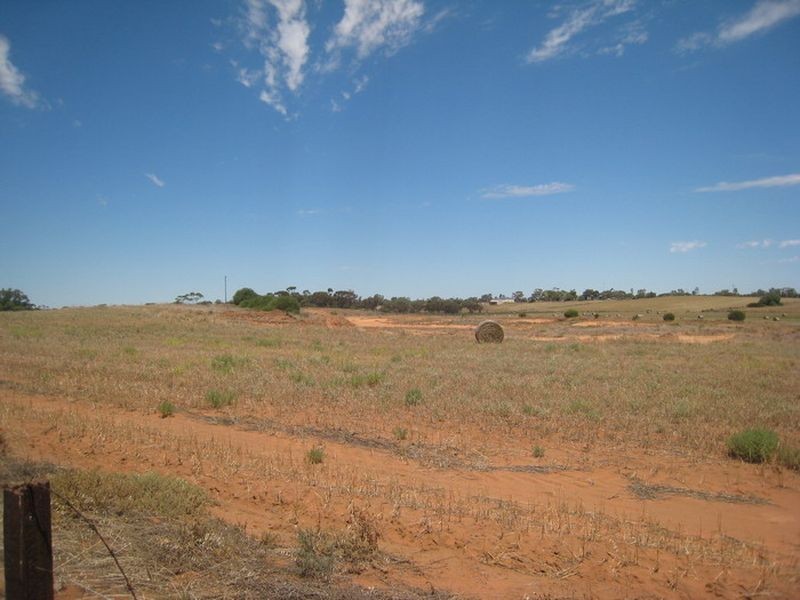 Sect 899 Railway Terrace, Napperby SA 5540