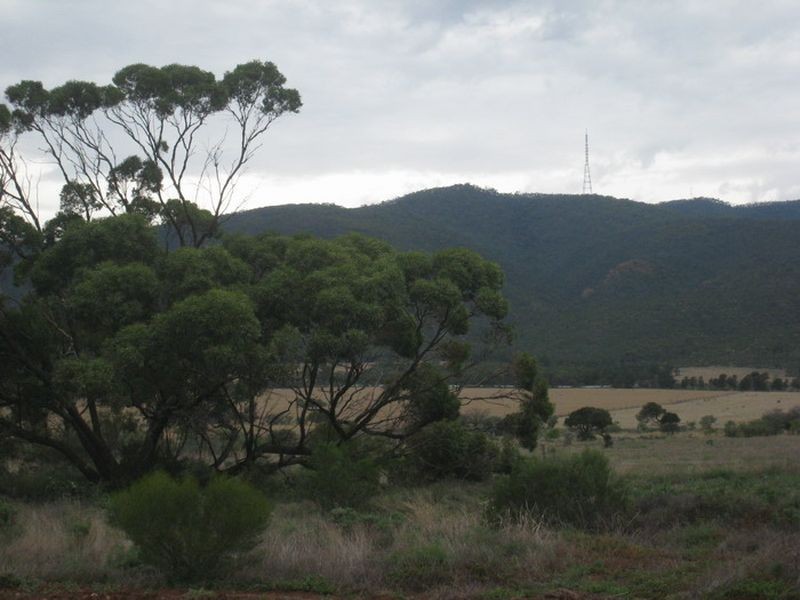 474 Scenic Drive, Nelshaby SA 5540