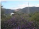 Lot 186 Third Street, Napperby SA 5540