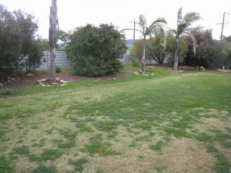 261 Quarry Road, Warnertown SA 5540