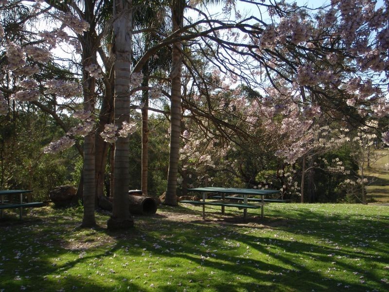 Lot 451 Princes Highway, East Lynne NSW 2536