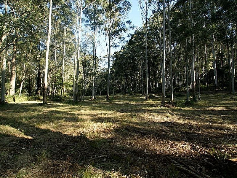 144 Durras Drive, South Durras NSW 2536