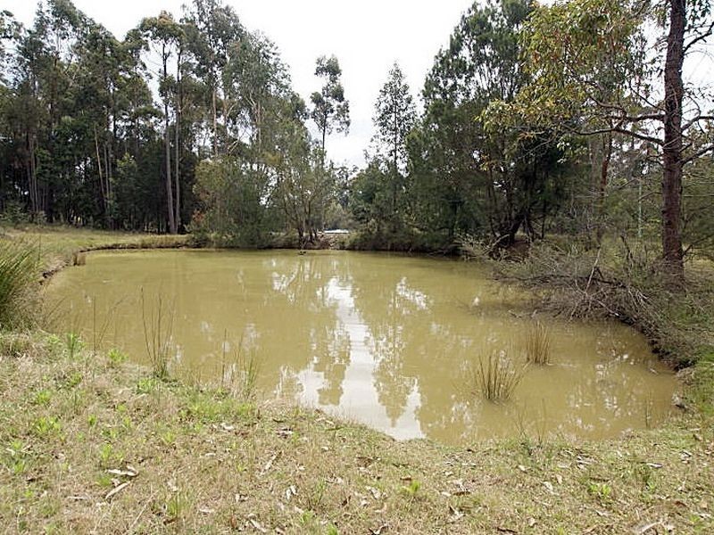 205 Maulbrooks Road, Mogo NSW 2536