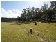 Lot 6 Old Bolaro Road, Nelligen NSW 2536