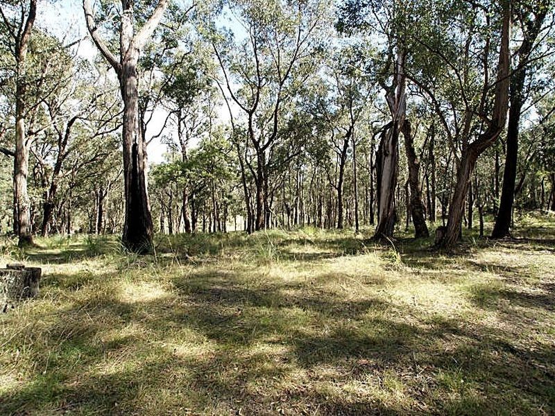 Lot 6 Old Bolaro Road, Nelligen NSW 2536