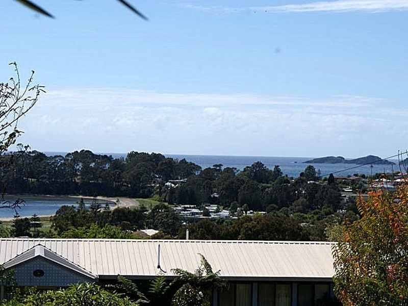 20 Calga Crescent, Catalina NSW 2536