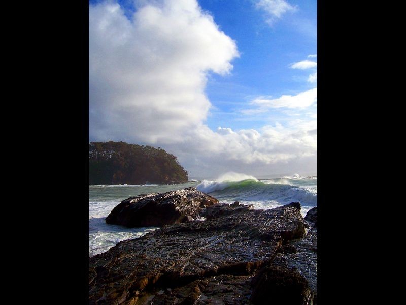 11 Elouera Close, Lilli Pilli NSW 2536