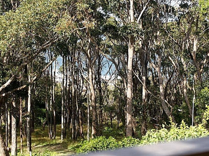 81 Tallawang Avenue, Malua Bay NSW 2536