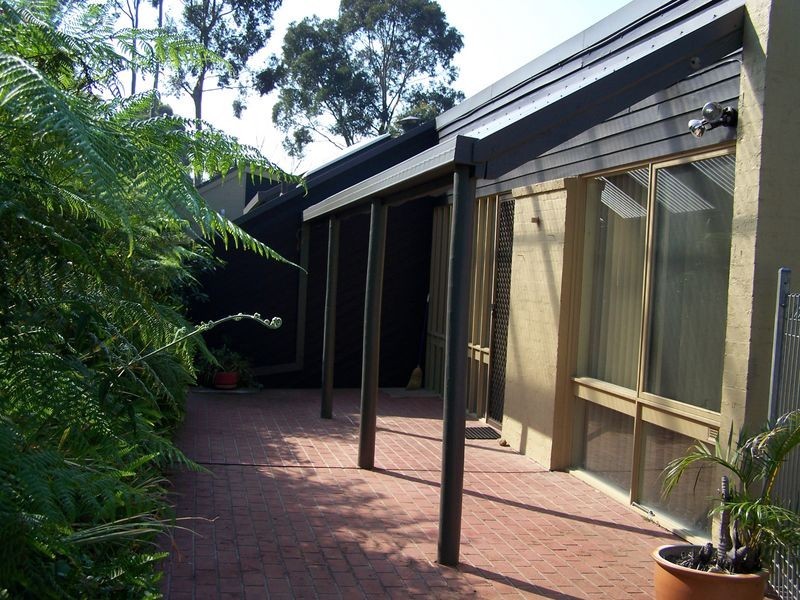 117 Vista Ave, Catalina NSW 2536
