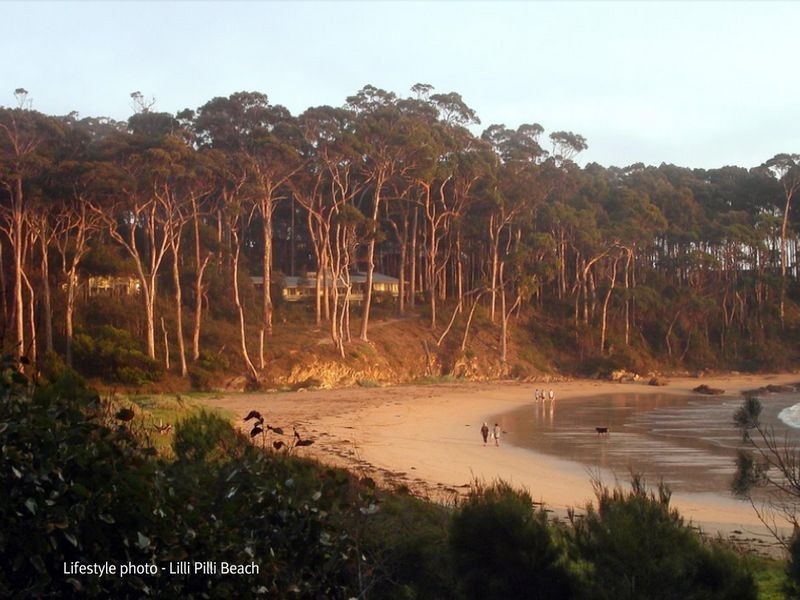 34 Carramar Drive, Lilli Pilli NSW 2536