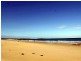 634 Murramarang Road, Bawley Point NSW 2539