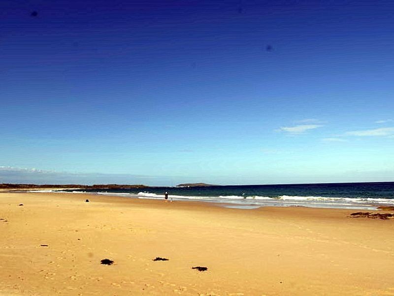 634 Murramarang Road, Bawley Point NSW 2539