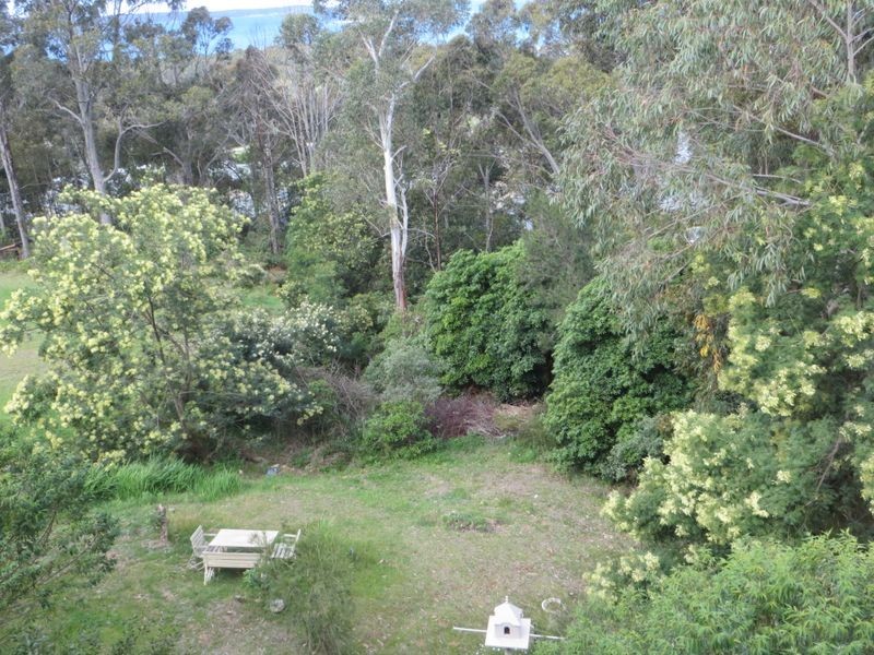 14b Sanctuary Place, Catalina NSW 2536